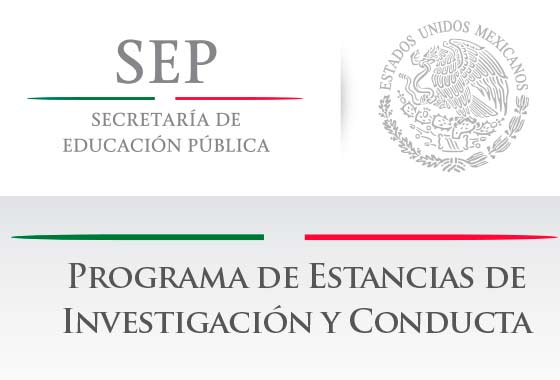 programa de investigacion